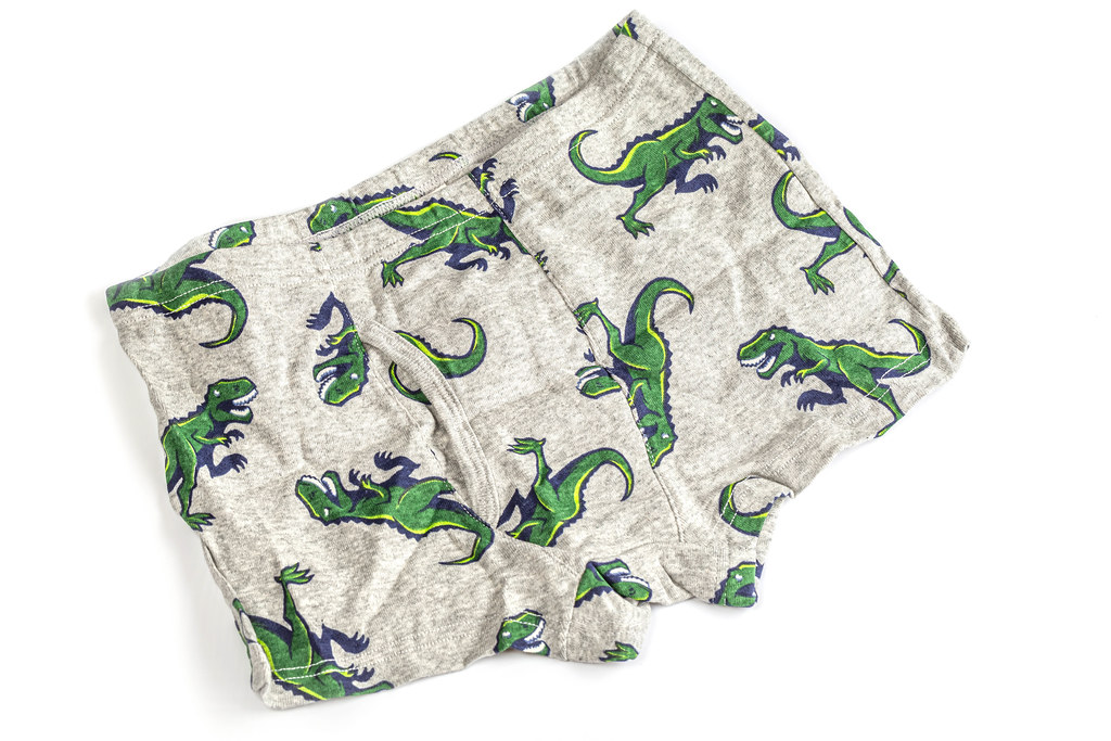 Children's underwear in the form of panties for a boy with dinosaurs