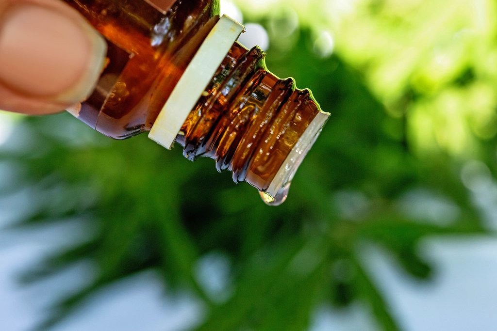 Close-up, bottle of hemp oil on blurred background of hemp herb