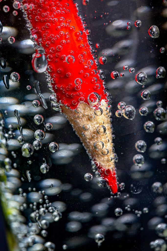 Close-up of sharp red pencil on dark background with bubbles