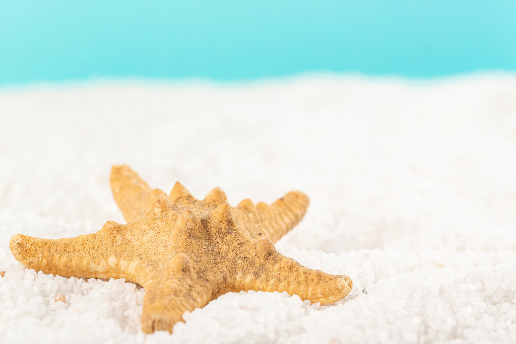 Close-up of starfish on white small stones, sea vacation concept