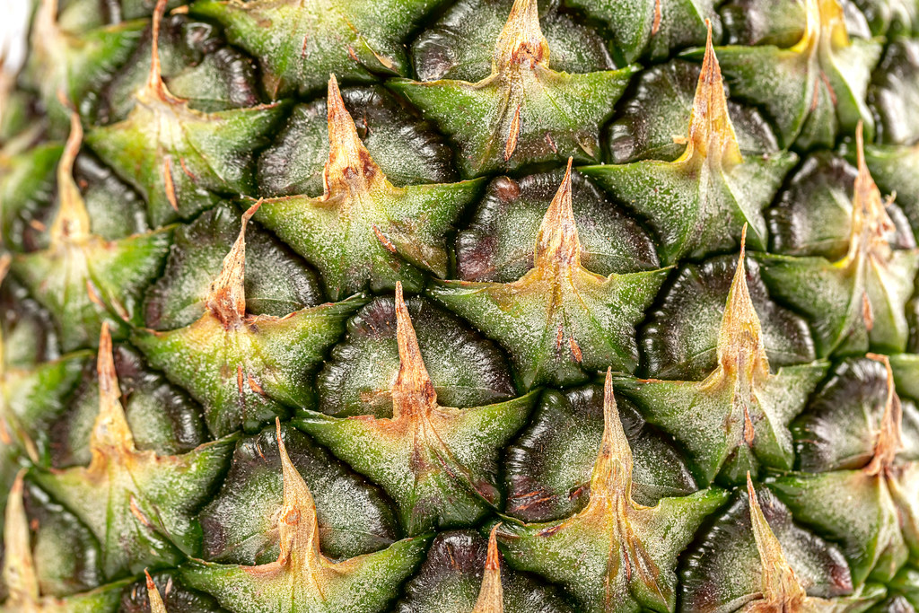 Close-up, pineapple surface texture, natural background concept