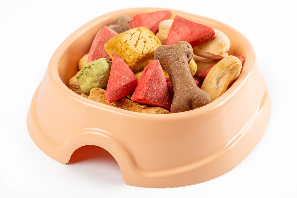 Colorful pieces of dried treats for pets