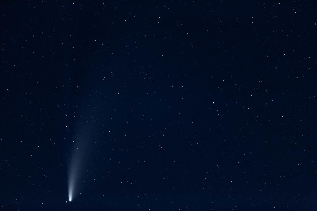 Comet Neowise in the night sky