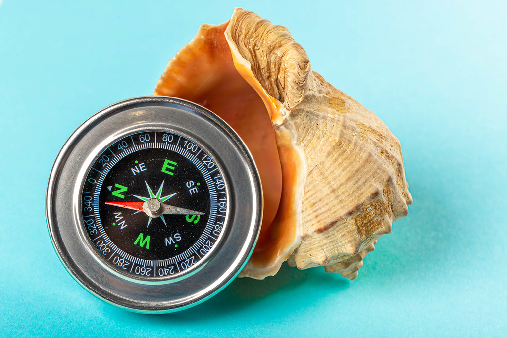 Compass and large seashell on blue background