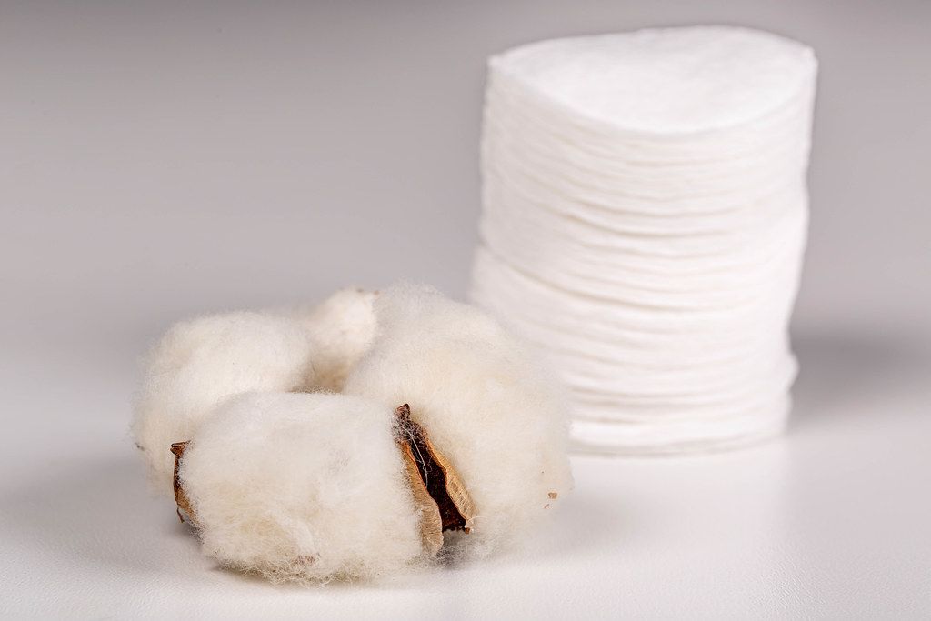 Cotton flower and cotton pads, natural hygiene products concept