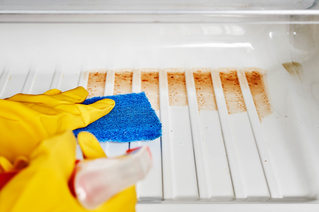 Cropped image of young woman cleaning refrigerator with sponge and spray at home