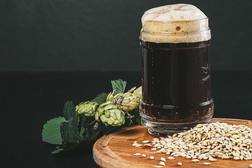 Dark unfiltered beer in a glass mug with hops and barley