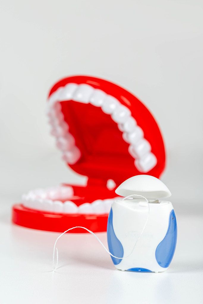 Dental floss and plastic model of jaws with teeth