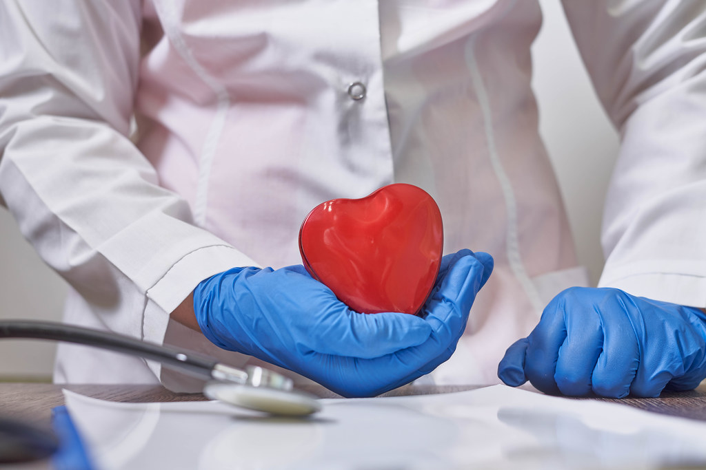 Doctor holding and showing red heart