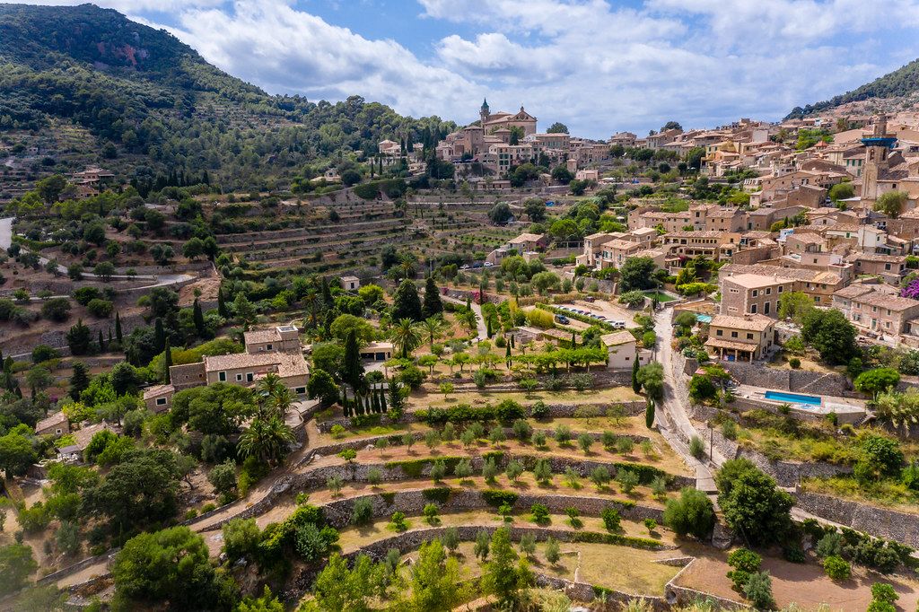 Drone photo of trees on terraced hills, houses with pools, Valldemossa Charterhouse on the hilltop