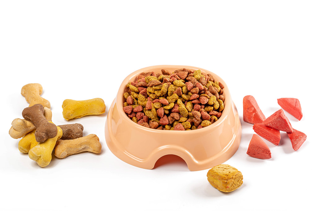 Dry pet food and treats, pet care concept