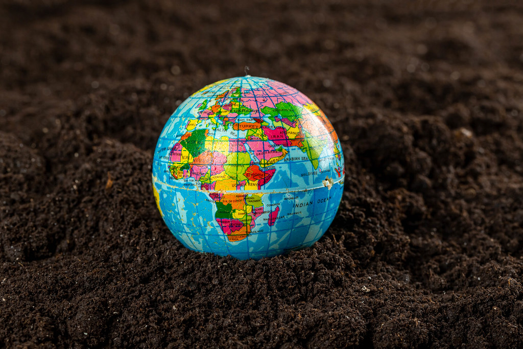 Earth on fertile soil, saving environment, earth day, conservation world concept