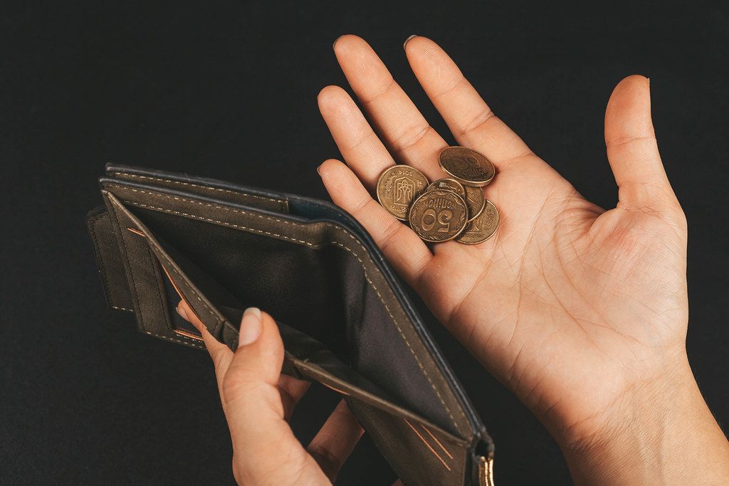 Empty wallet and several coins in female hands