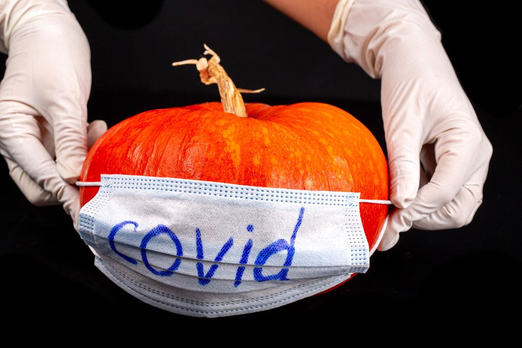 Female hands in gloves hold a pumpkin in a medical mask on a black background