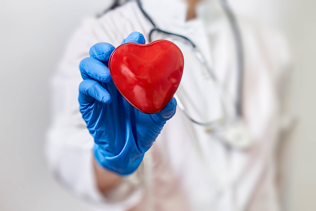 Female healthcare worker holding red toy heart