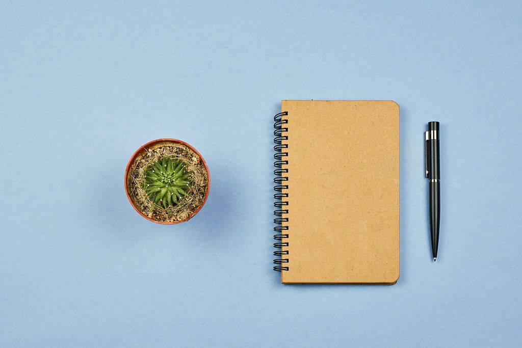 Flat lay of a diary with home plant