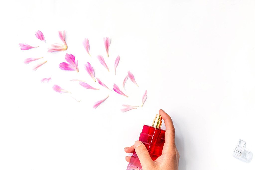 Floral scent concept. Perfume bottle in a woman's hand on a white background with peony petals