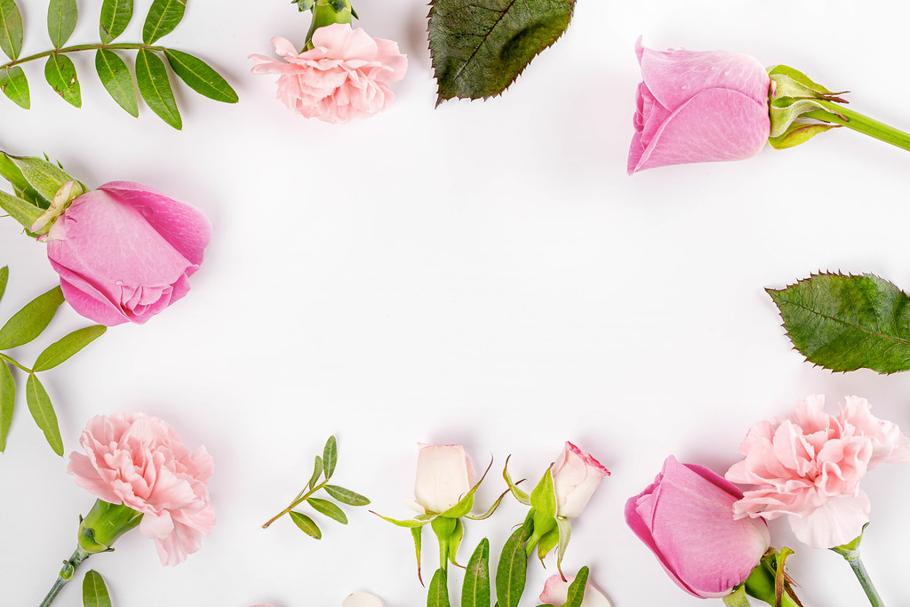Frame of fresh flowers on a white background with a free space in the middle