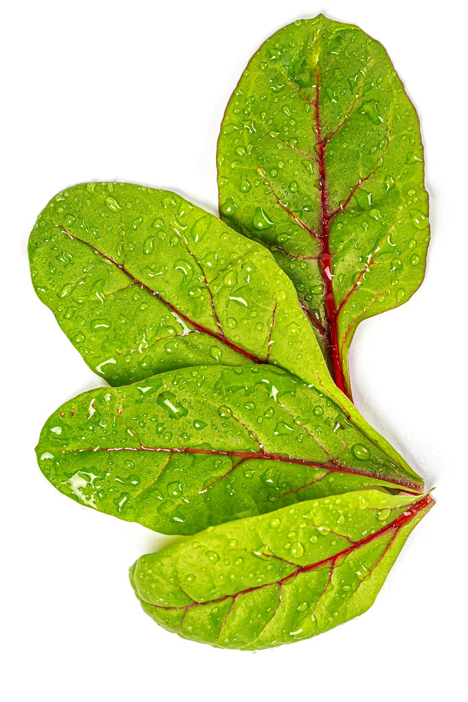 Fresh beet leaves with water drops