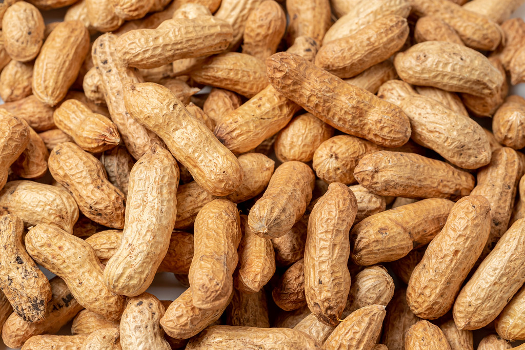 Fresh peanut nuts in shell background