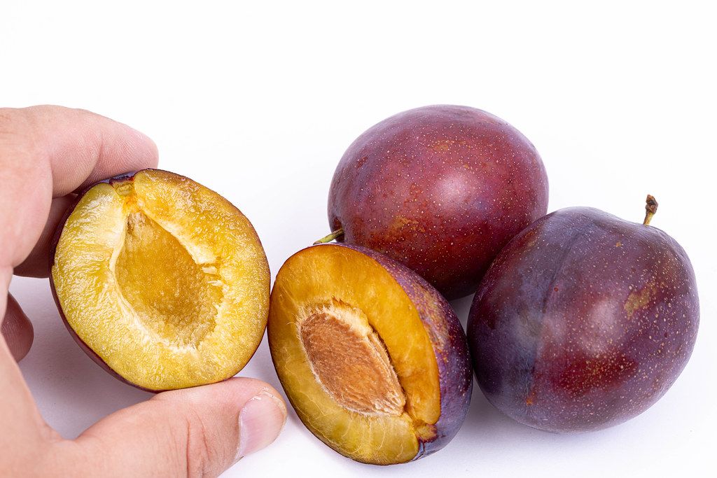 Fresh sliced Plums in the hand above white background