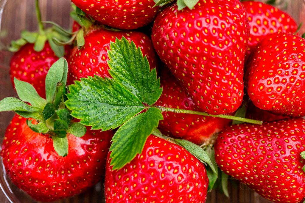 Fresh strawberry background with green leaves