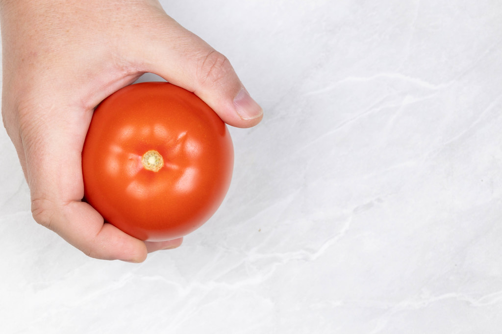 Fresh Tomato in the hand with copy space
