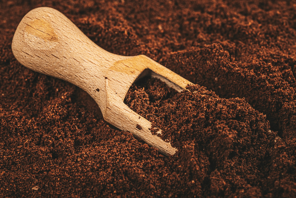 Ground coffee in wooden scoop, close up