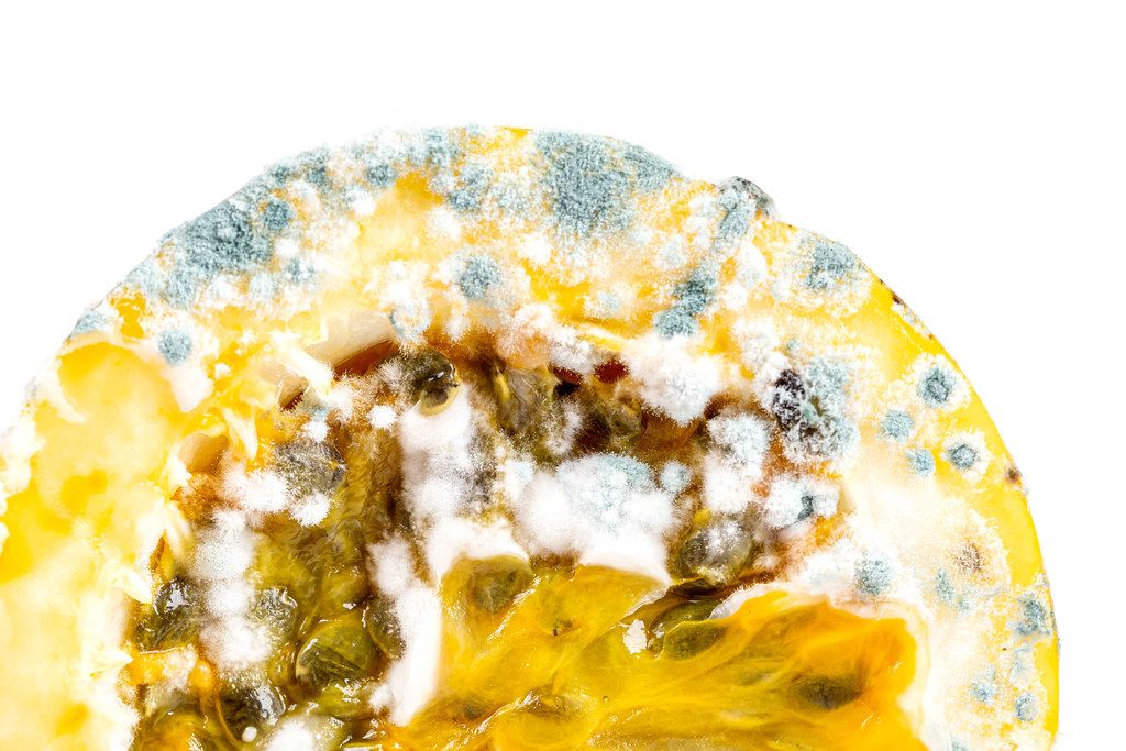 Half passion fruit with mold on a white background