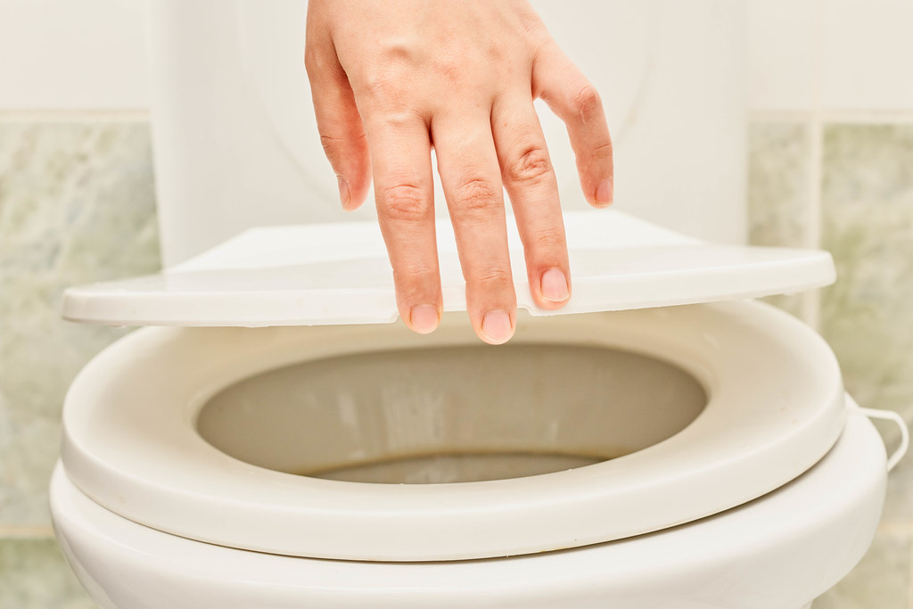Hand of person opening toilet seat cover