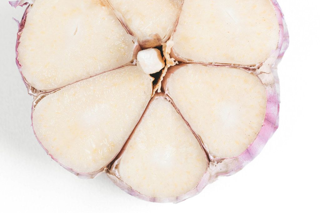 Head of garlic cut in half on white background
