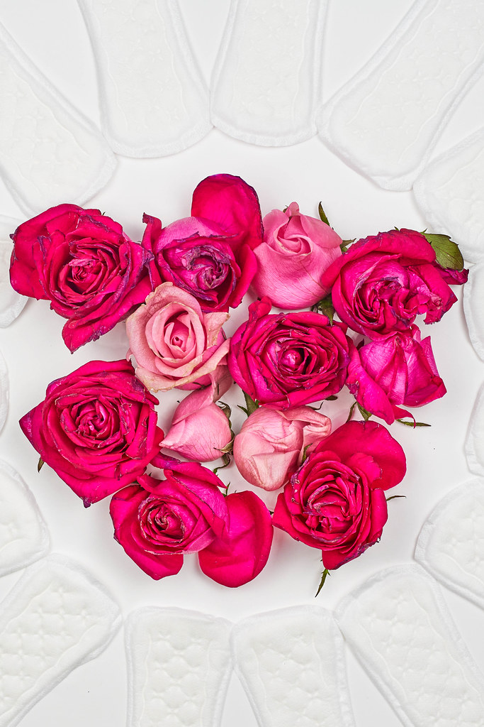 Hygieneartikel für Frauen: einige Rosen, von Slipeinlagen eingerahmt