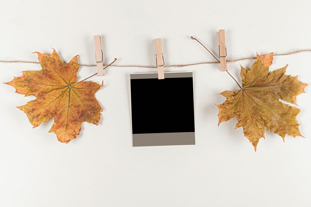 Instant photo and dry autumn leaves hanging on a rope with wooden clothespins