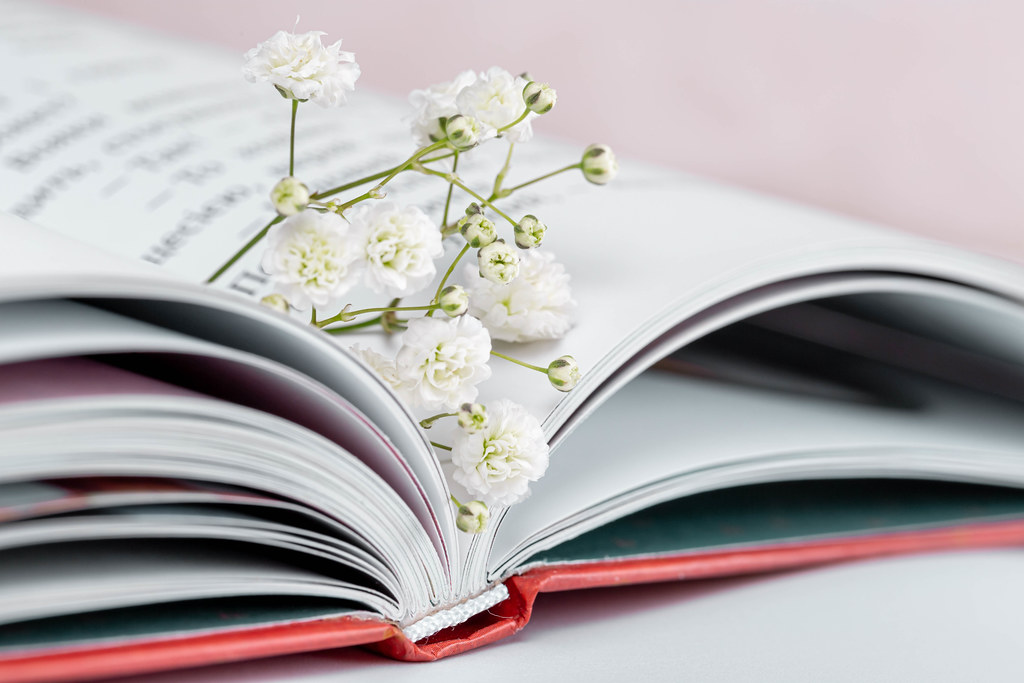 Little white flowers in an open book