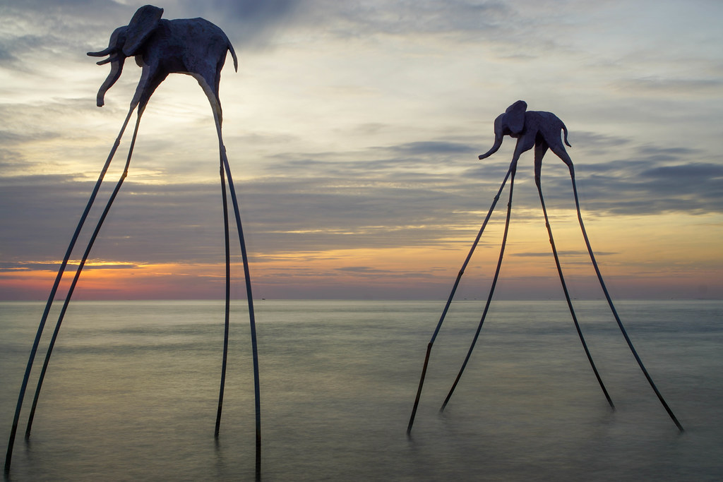 Long Exposure Photo of Elephants standing in the Water at Sunset Sanato Beach Club in Phu Quoc, Vietnam
