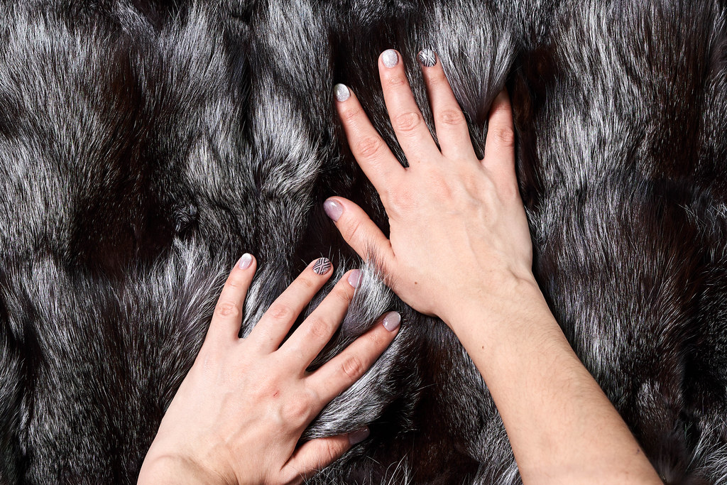 Manicured woman's hand over black furry background