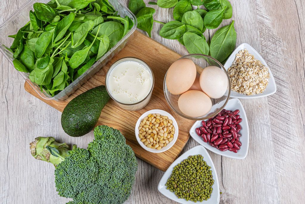 Milk, eggs, vegetables, oatmeal, beans and nuts - the concept of a varied healthy diet