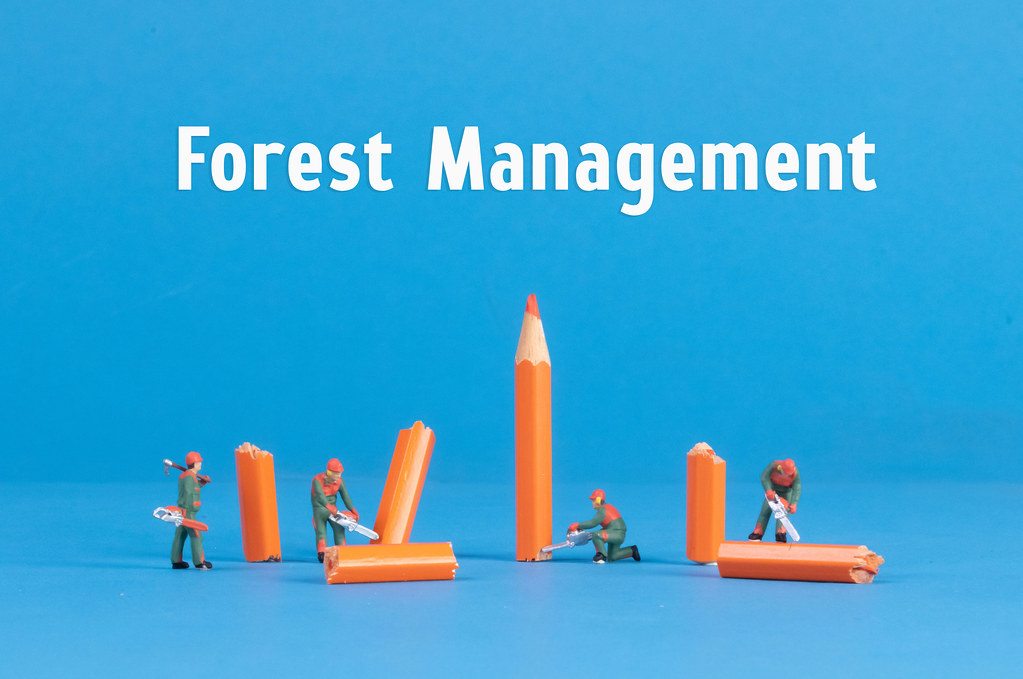 Miniature woodworkers with broken pencil and Forest Management text