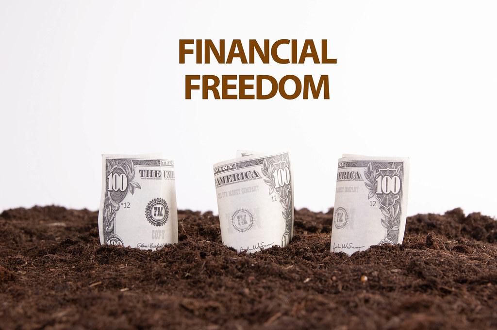 Money rolls on a dirt with Financial Freedom text