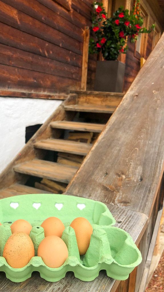 Nahaufnahme von frischen Eiern im Karton vor dem Eingang eines Bauernhofs in Alpbach, Tirol