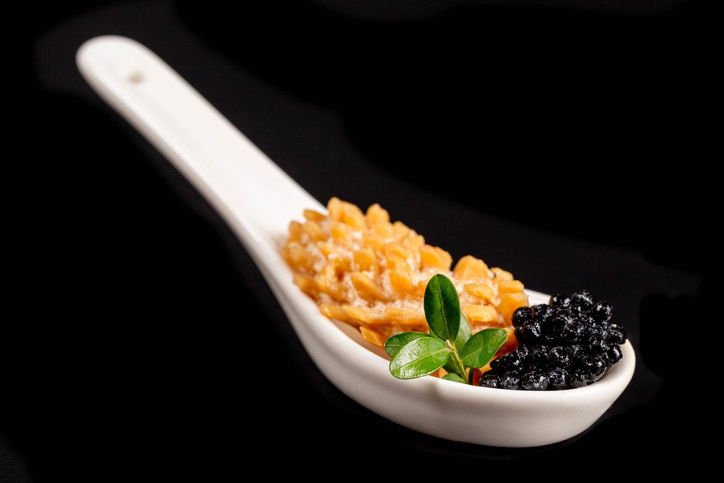 Octopus with black caviar in a white spoon on a black background