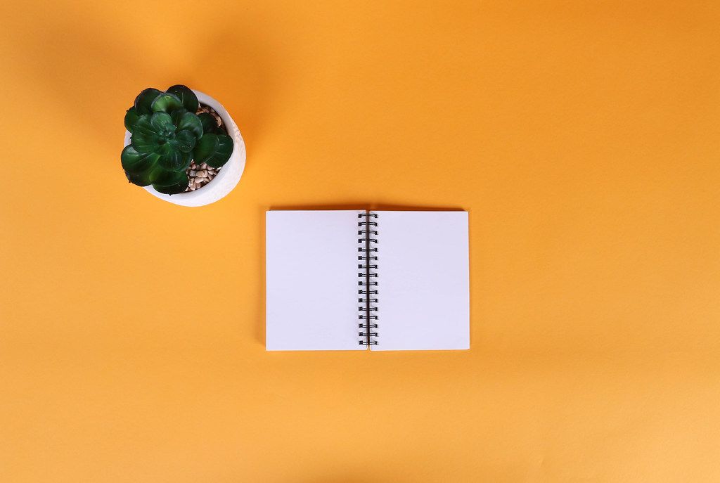Open notebook with flower on orange background