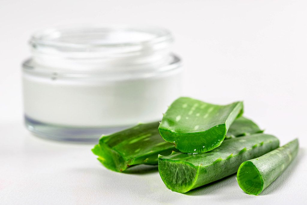 Opened glass jar with cream and aloe leaves
