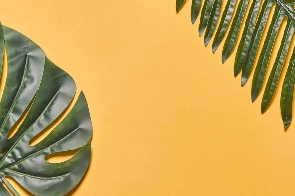Palm leaves background with copy space in the center