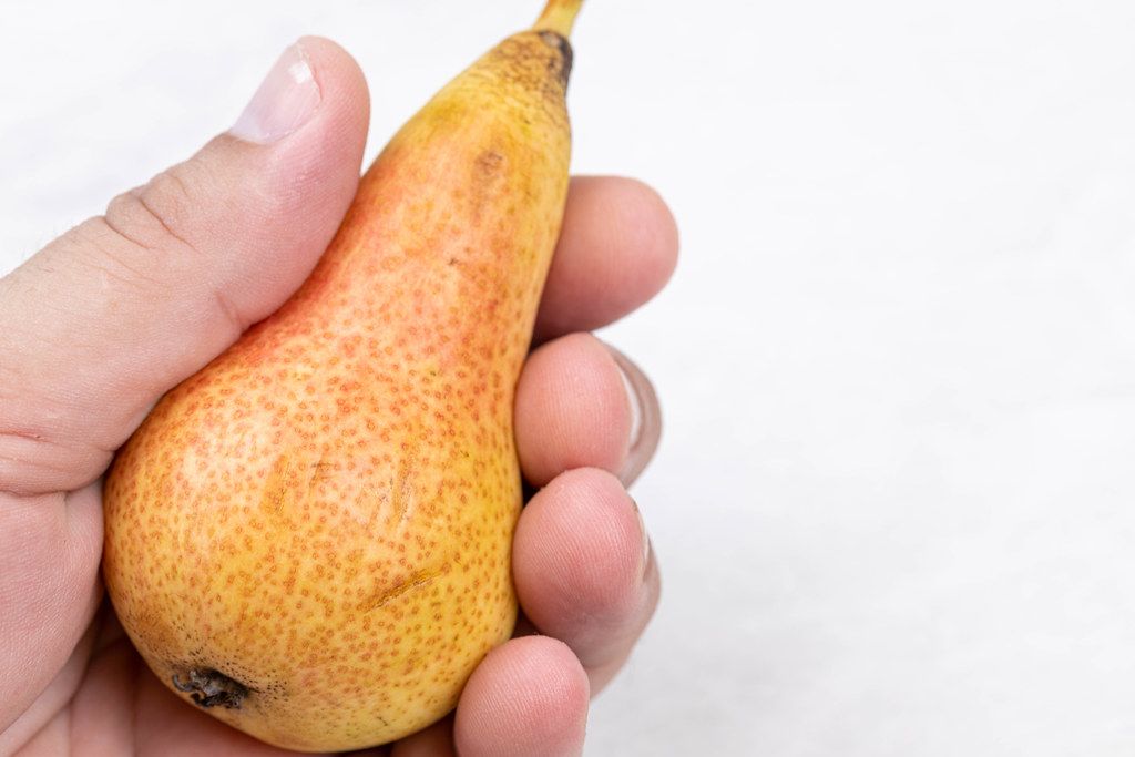 Pear in the hand with copy space above white background