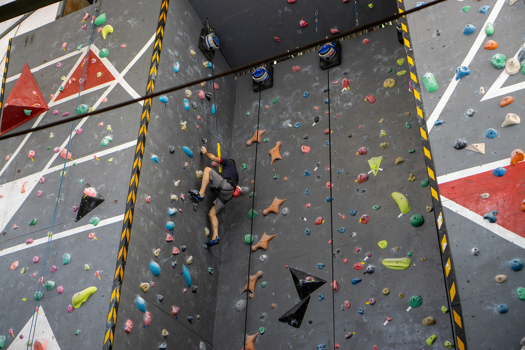 Person attached to an Auto Belay Climbing System is using Holds to climb up a Wall in an Indoor Climbing Wall