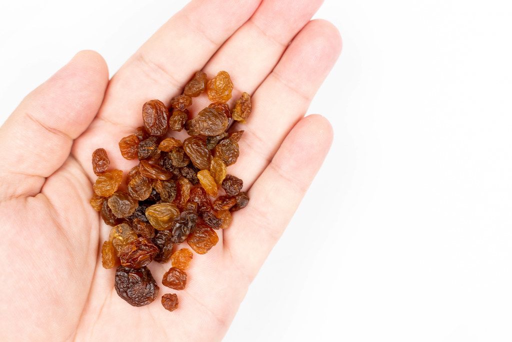 Pile of Raisins on the hand with copy space above white background