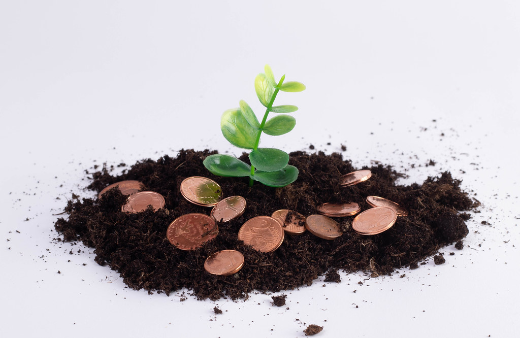 Pile of soil with small plant and coins