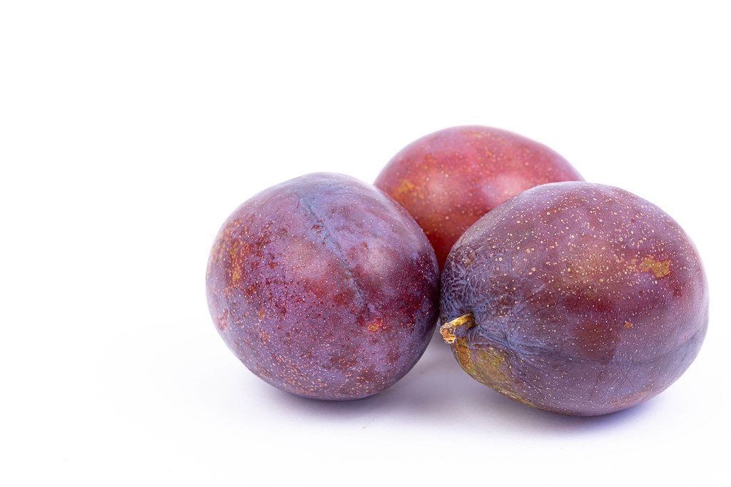 Plums above white background