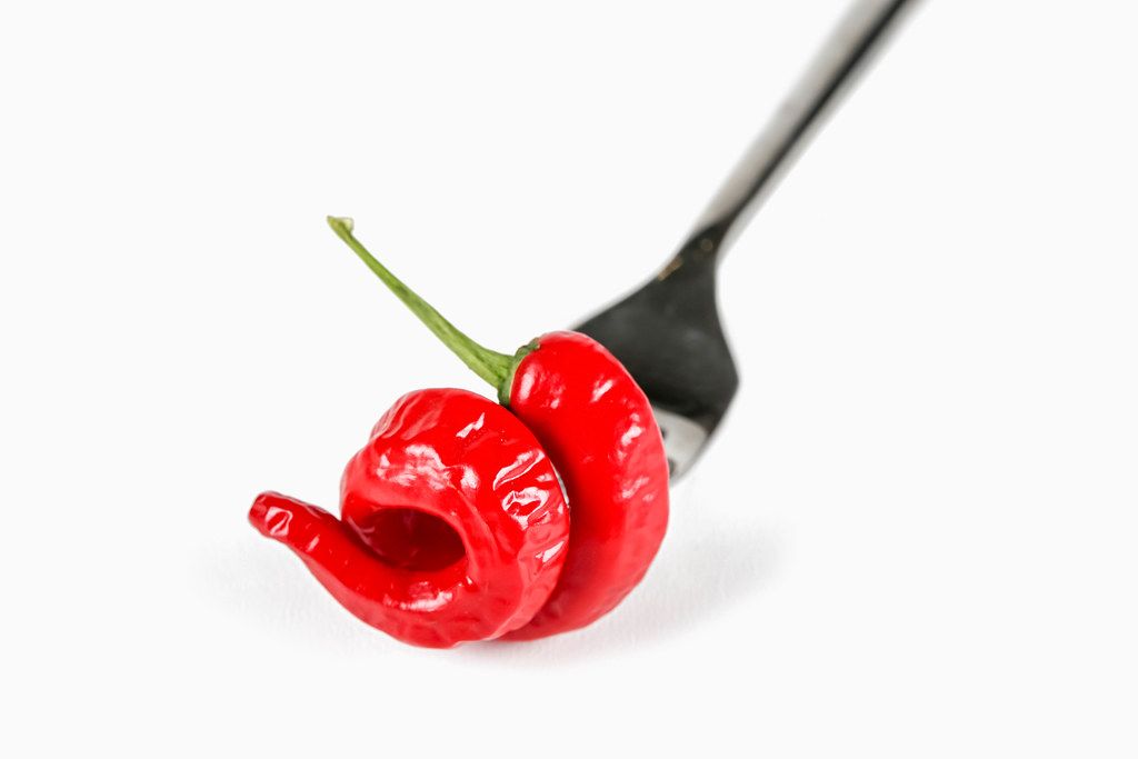 Red hot pepper in the shape of a spiral on a fork